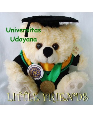 Boneka Wisuda Universitas Udayana - Kedokteran (25 cm)